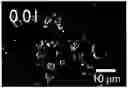 Fig. 01 - Nb-doped nickel oxide-zirconia composite catalyst and process for preparing the same