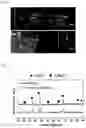 Fig. 05 - Nb-doped nickel oxide-zirconia composite catalyst and process for preparing the same