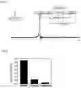 Fig. 07 - Nb-doped nickel oxide-zirconia composite catalyst and process for preparing the same
