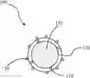 Fig. 01 - Catalysts, catalyst supports and methods of making the same
