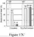 Fig. 32 - Catalysts, catalyst supports and methods of making the same