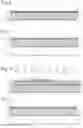 Fig. 05 - Microfluidic chip and microfluidic device