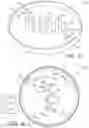 Fig. 09 - Herb grinder and blades for herb grinder