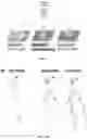 Fig. 02 - Methods of nanoscale directional wetting and uses thereof