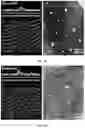 Fig. 07 - Methods of nanoscale directional wetting and uses thereof