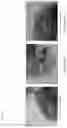 Fig. 06 - METHOD FOR MANUFACTURING PHOTO-SINTERING PARTICLE, METHOD FOR MANUFACTURING PHOTO-SINTERING TARGET, AND PHOTO-SINTERING METHOD