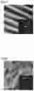 Fig. 03 - Surface-coated cutting tool and method for manufacturing the same