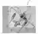 Fig. 01 - MODULAR ROD-CENTERED, DISTRIBUTED ACTUATION AND CONTROL ARCHITECTURE FOR SPHERICAL TENSEGRITY ROBOTS