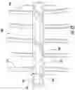 Fig. 12 - Fluid transfer assembly, a fluid transfer system, and a related method