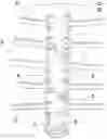 Fig. 13 - Fluid transfer assembly, a fluid transfer system, and a related method