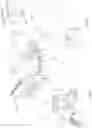 Fig. 07 - Apparatus for cooling and handling preforms in plastic material