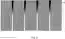 Fig. 06 - Coextrusion of periodically modulated structures