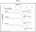 Fig. 07 - Thermoplastic resin composite and method of preparing the same