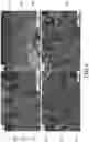 Fig. 06 - Additive manufacturing of continuous fiber thermoplastic composites