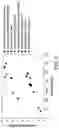 Fig. 08 - Additive manufacturing of continuous fiber thermoplastic composites