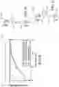 Fig. 09 - Additive manufacturing of continuous fiber thermoplastic composites