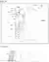 Fig. 04 - COLD PROTECTION MATERIAL, PRODUCTION METHOD FOR SAME, AND COLD PROTECTION WEAR
