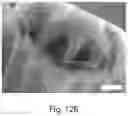 Fig. 16 - Nanostructure-reinforced composite articles and methods