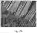 Fig. 19 - Nanostructure-reinforced composite articles and methods