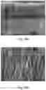 Fig. 21 - Nanostructure-reinforced composite articles and methods