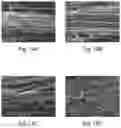 Fig. 23 - Nanostructure-reinforced composite articles and methods