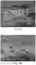 Fig. 24 - Nanostructure-reinforced composite articles and methods