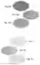 Fig. 05 - Intermediate transfer member