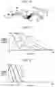 Fig. 07 - Recording apparatus and method of controlling recording apparatus