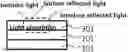 Fig. 01 - Decoration member and manufacturing method therefor