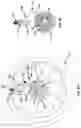Fig. 06 - Active aerodynamic wheel cap devices and systems