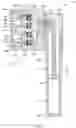 Fig. 04 - Load dependent damper for a vehicle suspension system