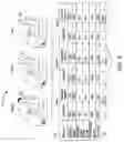 Fig. 13 - Electronics to remotely monitor and control a machine via a mobile personal communication device