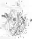 Fig. 02 - Front body structure of vehicle
