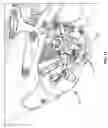Fig. 18 - Bicycle with housing loop stay