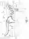 Fig. 12 - Hydraulic operating device