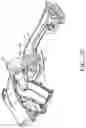 Fig. 21 - Bicycle rear derailleur