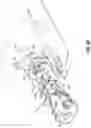 Fig. 25 - Jet pump