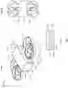 Fig. 12 - SYSTEMS AND METHODS RELATED TO TRANSFORMABLE UNMANNED AERIAL VEHICLES
