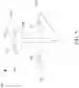 Fig. 07 - Aircraft convertible between fixed-wing and hovering orientations
