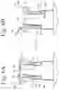 Fig. 07 - Coupled structure between pouring spout of refill container and pouring unit of packaging container