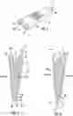 Fig. 03 - Manifold and fluid dispensing systems