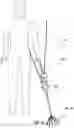 Fig. 43 - Manifold and fluid dispensing systems