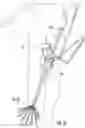 Fig. 46 - Manifold and fluid dispensing systems