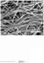 Fig. 04 - Carbon nanotube composite structure and method for making the same