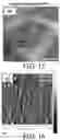 Fig. 09 - Formation of pores in atomically thin layers