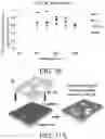Fig. 16 - Formation of pores in atomically thin layers