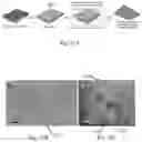 Fig. 20 - Formation of pores in atomically thin layers