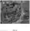 Fig. 07 - Method of manufacturing semiconductor material from mayenite