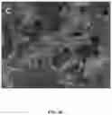 Fig. 09 - Method of manufacturing semiconductor material from mayenite