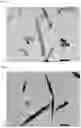 Fig. 02 - Calcium carbonate and production method therefor